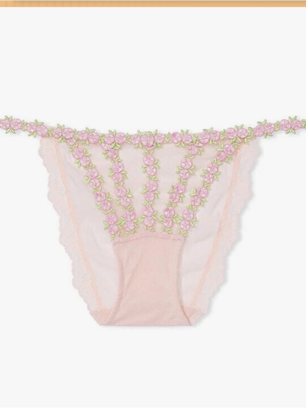 Victoria's Secret Rosebud Embroidery Mesh Bikini Panty